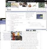 Encarta Encyclopedia Deluxe 99 Screen Shot