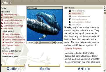 Encarta 97 Screen Shot